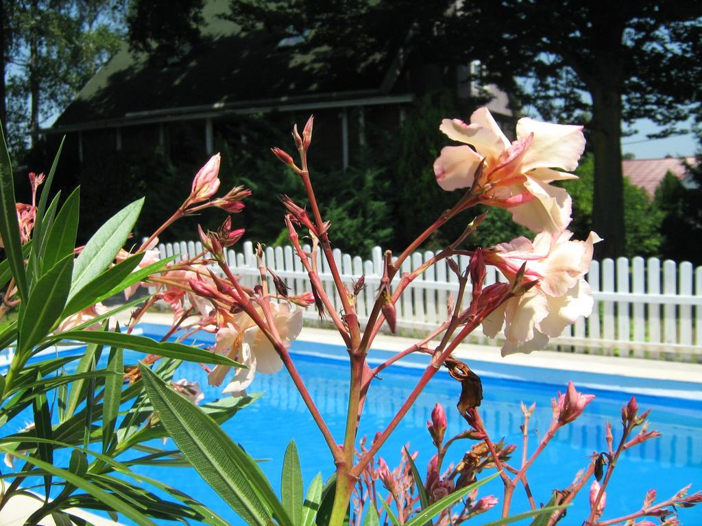 Guest House Westwood Kraljevec Kupinecki Room photo